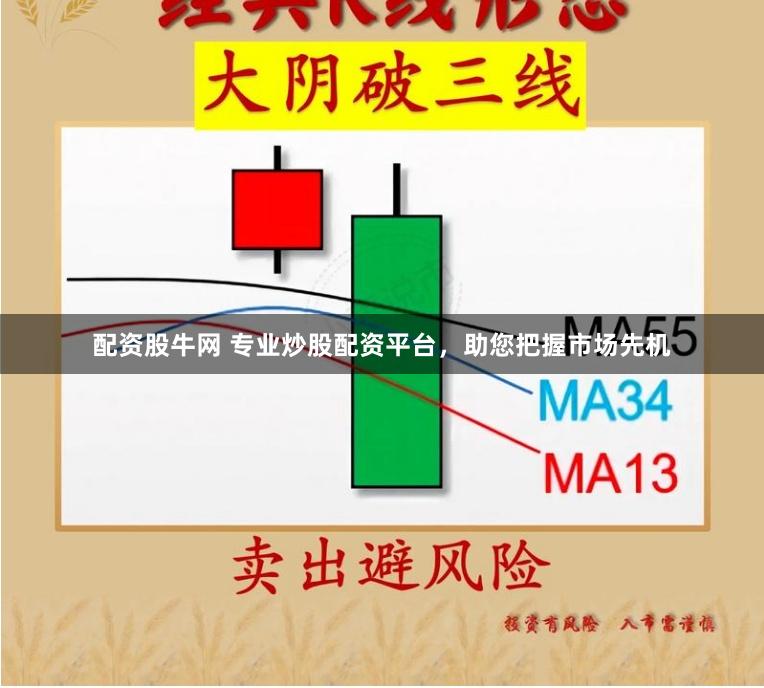 配资股牛网 专业炒股配资平台，助您把握市场先机
