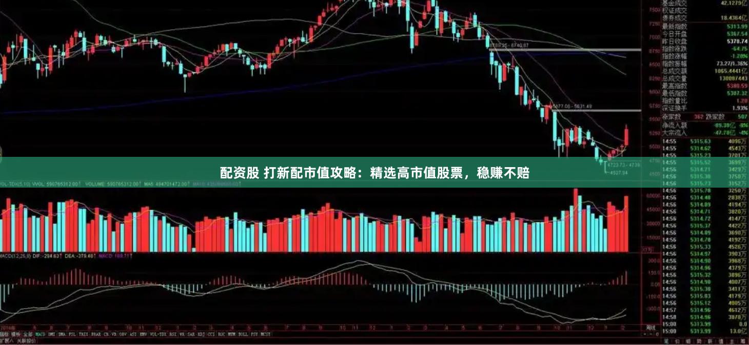 配资股 打新配市值攻略：精选高市值股票，稳赚不赔