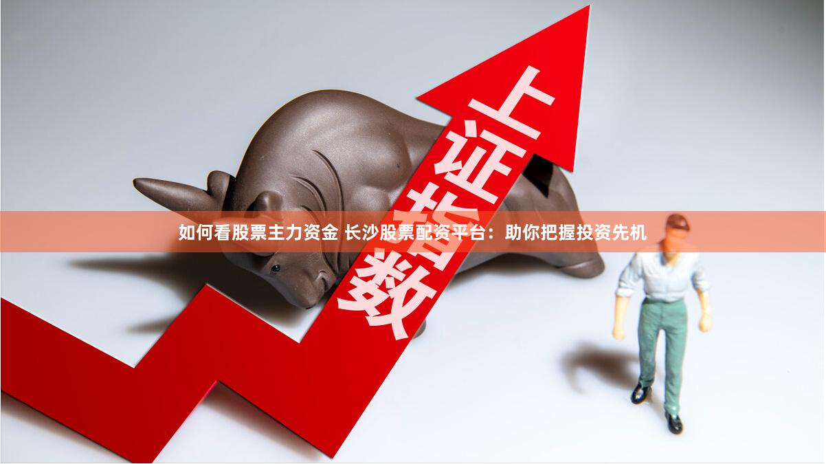 如何看股票主力资金 长沙股票配资平台：助你把握投资先机