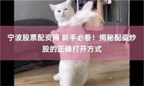 宁波股票配资网 新手必看！揭秘配资炒股的正确打开方式