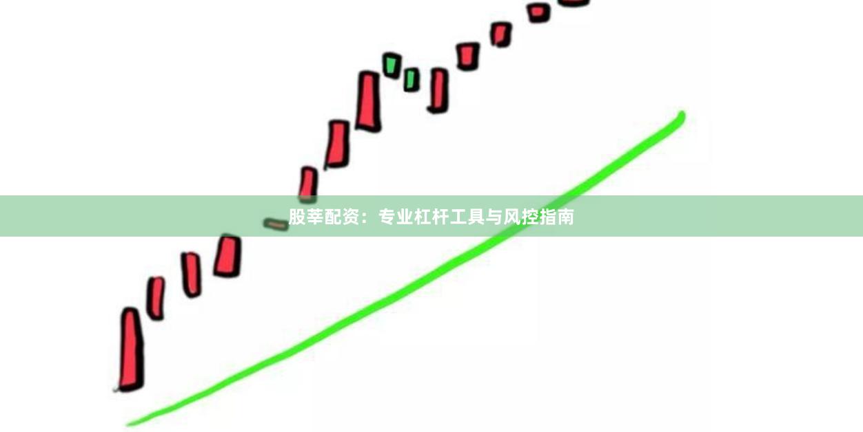 股莘配资：专业杠杆工具与风控指南