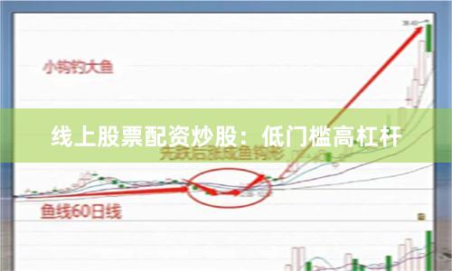线上股票配资炒股：低门槛高杠杆